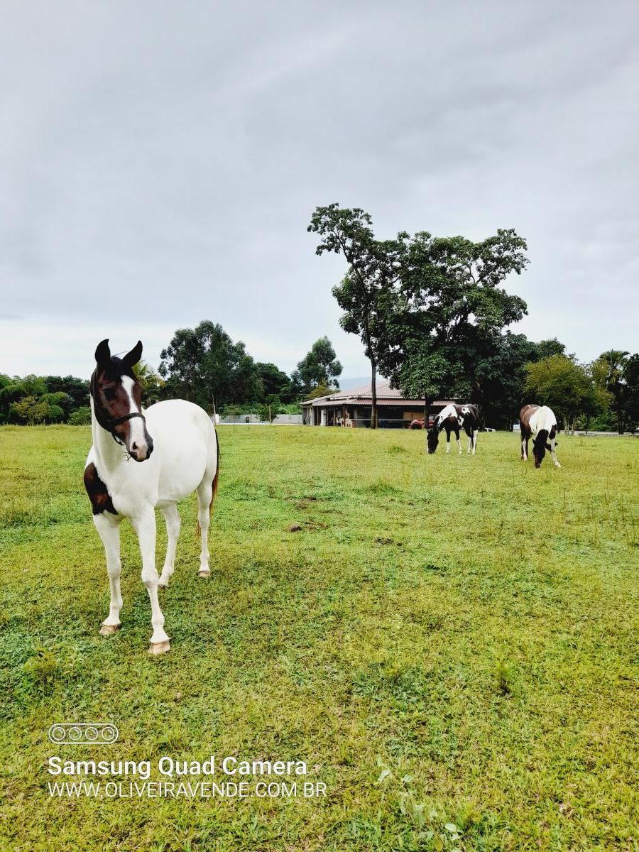 Fazenda à venda com 3 quartos, 20000m² - Foto 5