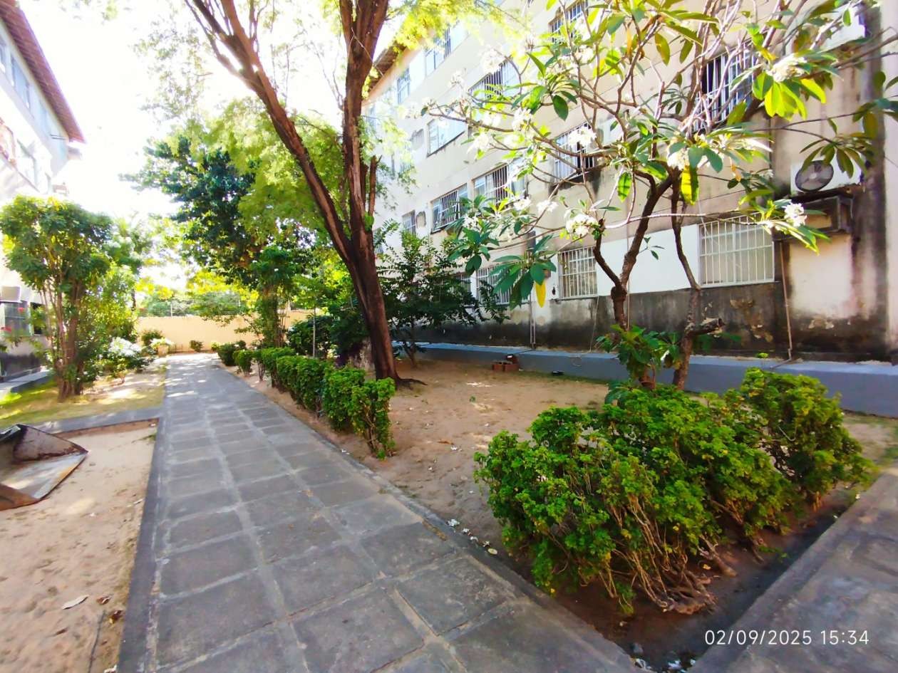 Apartamento à venda com 3 quartos, 60m² - Foto 12