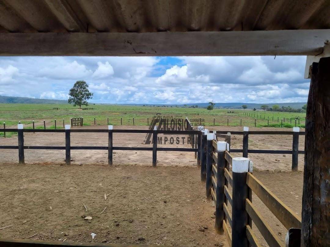 Fazenda à venda, 60984000M2 - Foto 15