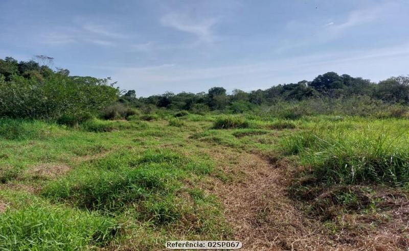 Fazenda à venda com 2 quartos, 100000m² - Foto 11