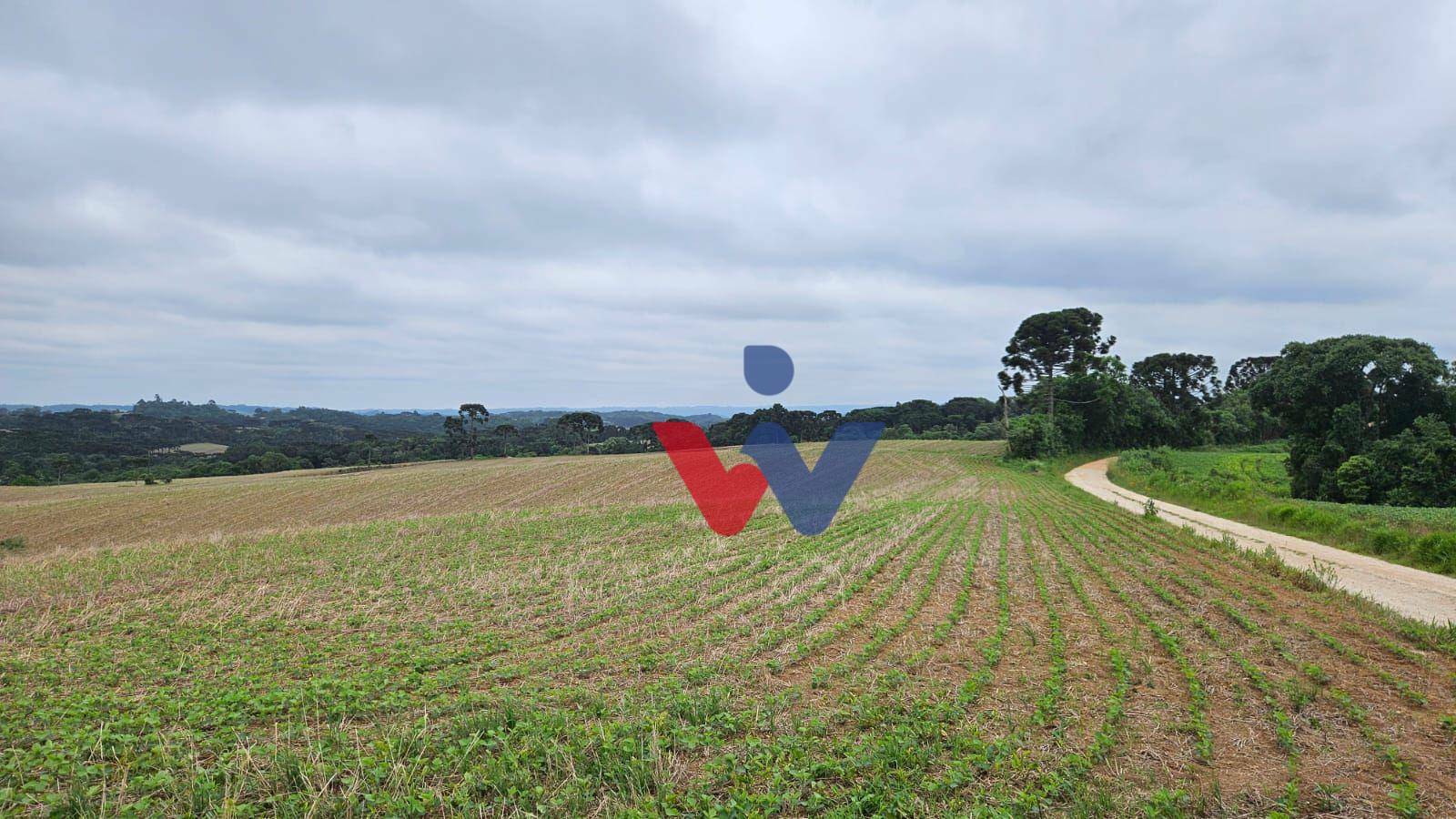 Fazenda à venda com 3 quartos, 1694000M2 - Foto 43