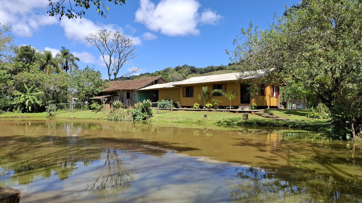 Fazenda à venda com 4 quartos, 1040000m² - Foto 6