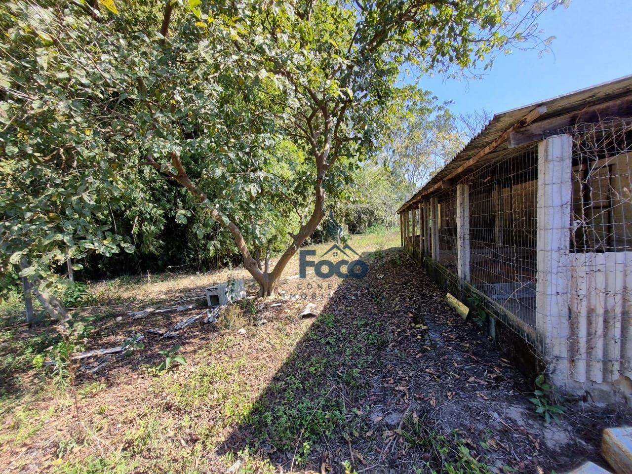 Chácara à venda com 2 quartos, 6000M2 - Foto 14