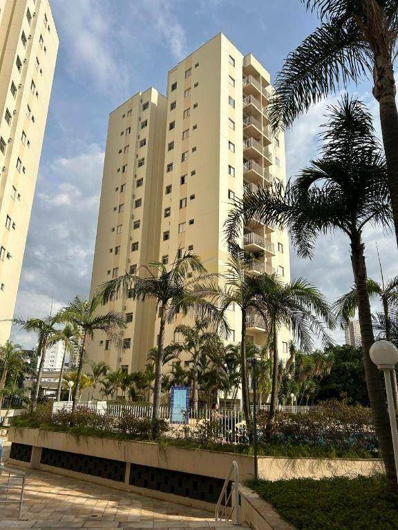 Apartamento para alugar com 2 quartos, 47m² - Foto 13