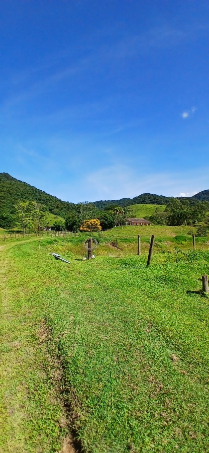 Fazenda à venda com 4 quartos, 257m² - Foto 28