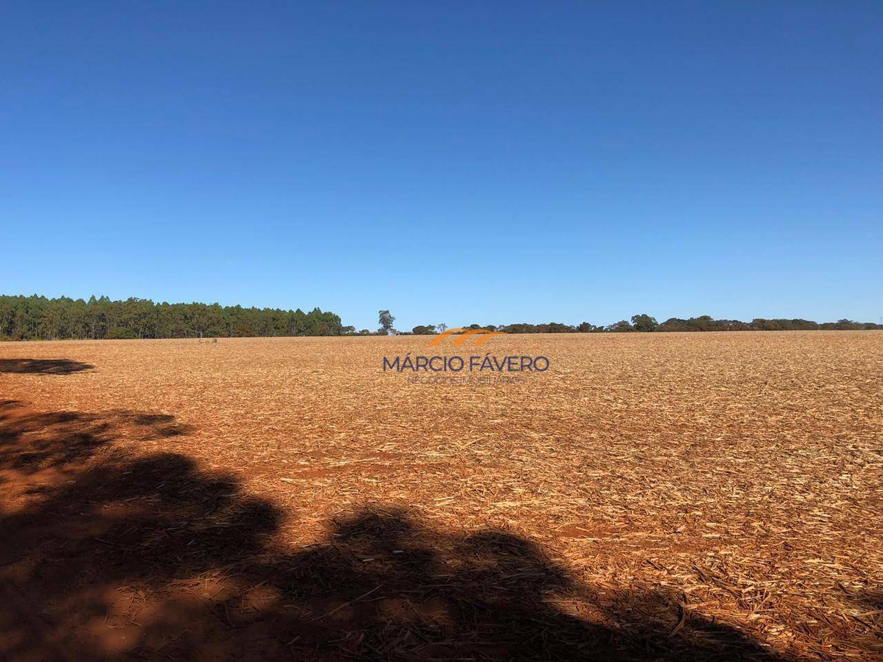 Fazenda à venda, 2299000M2 - Foto 9