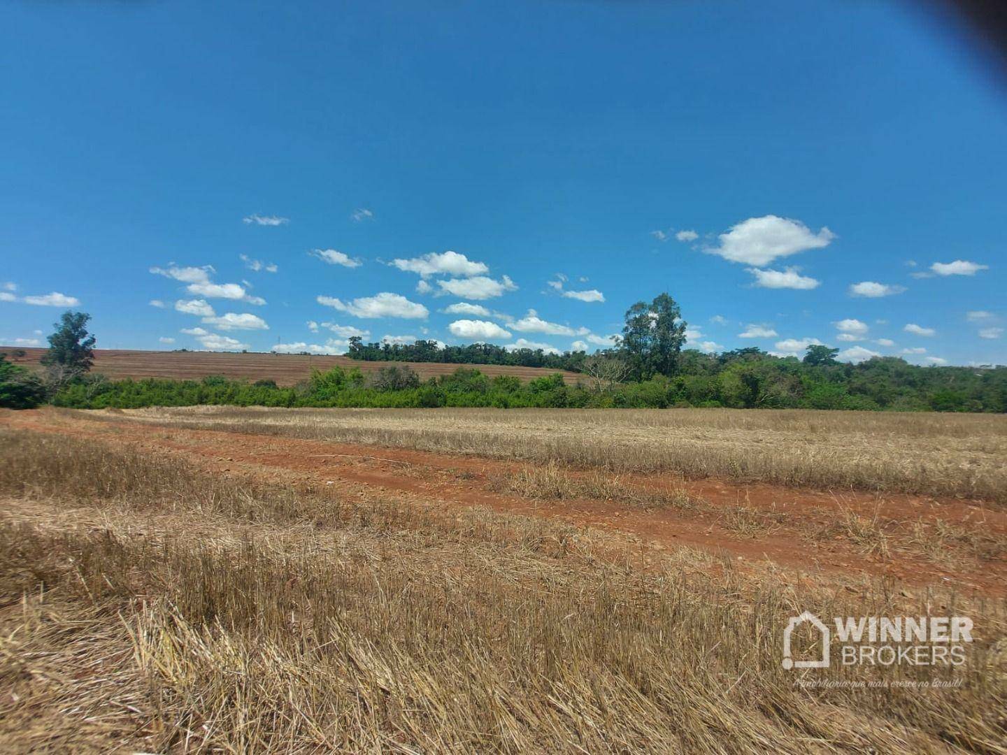 Chácara à venda, 2000M2 - Foto 17