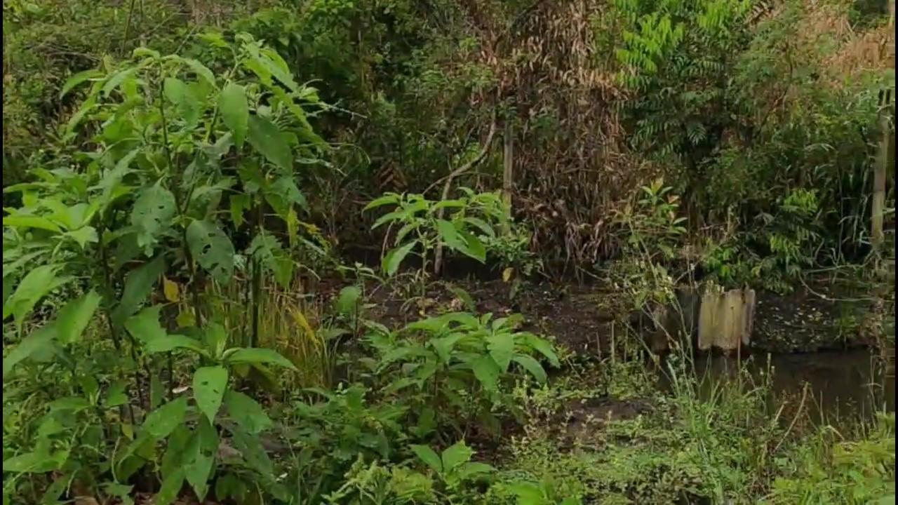 Casa de Condomínio à venda com 3 quartos, 1200m² - Foto 28