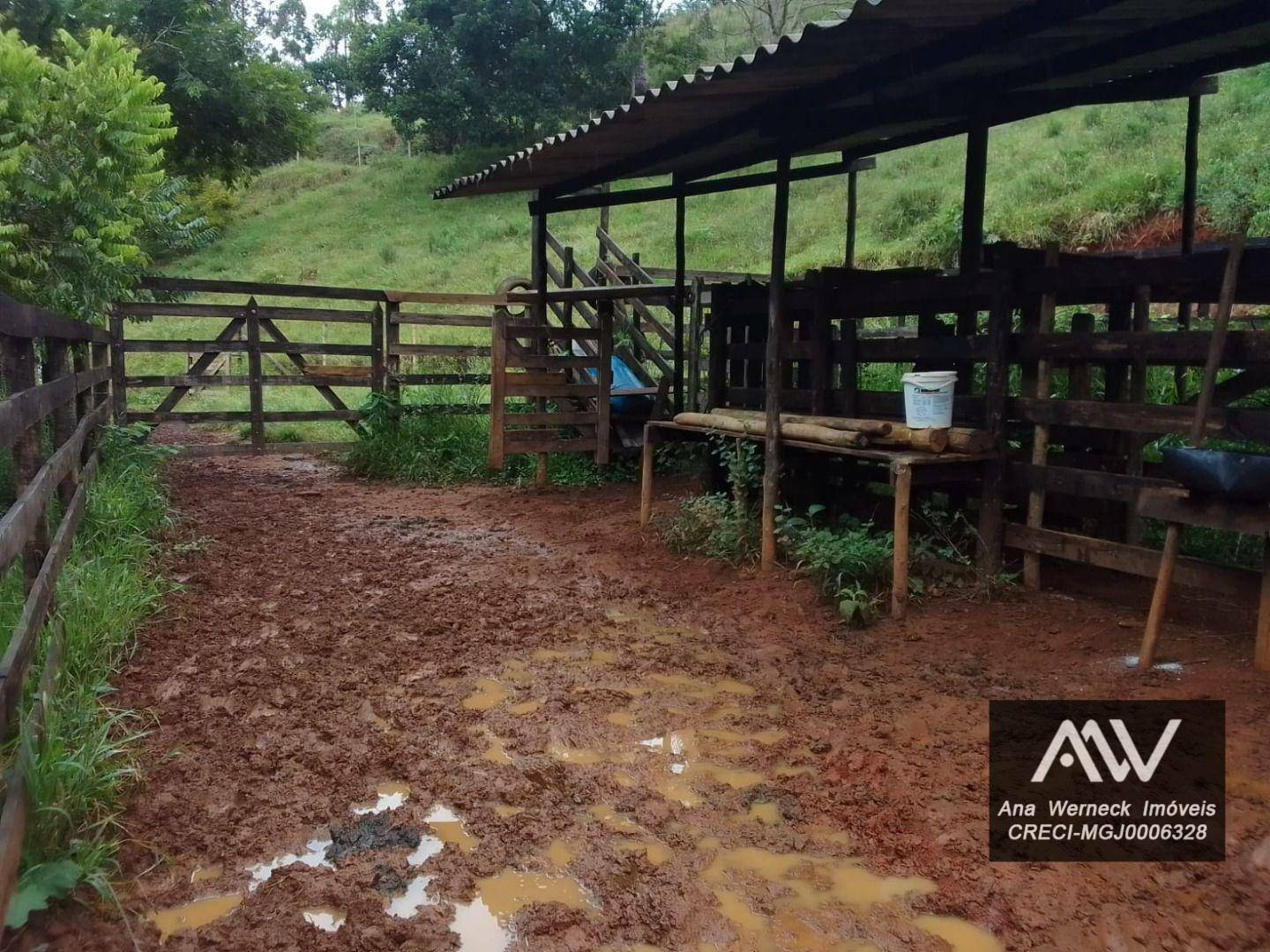 Chácara à venda com 1 quarto, 150000M2 - Foto 3