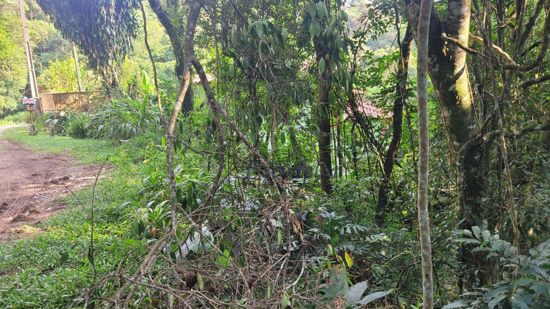 Loteamento e Condomínio à venda, 1325M2 - Foto 6