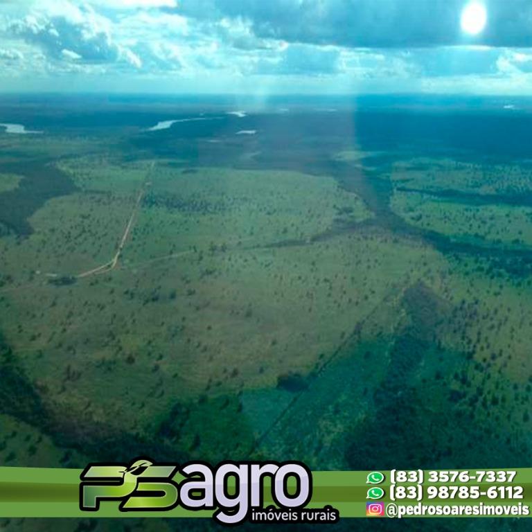 Fazenda-Sítio-Chácara, 43 hectares - Foto 3