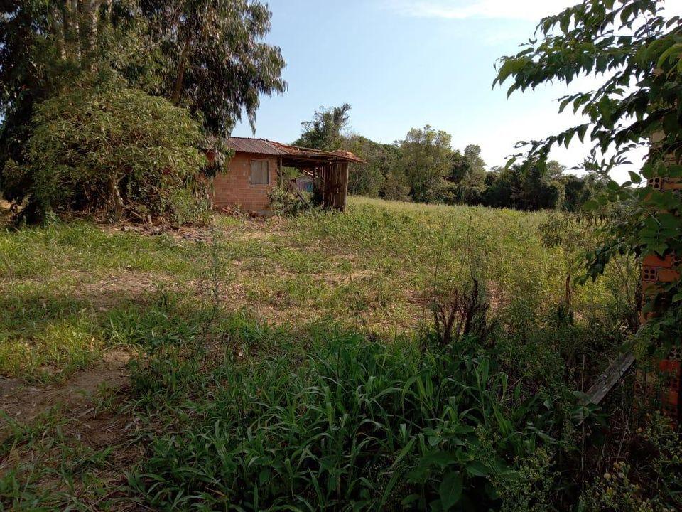 Fazenda à venda com 3 quartos, 130000m² - Foto 19