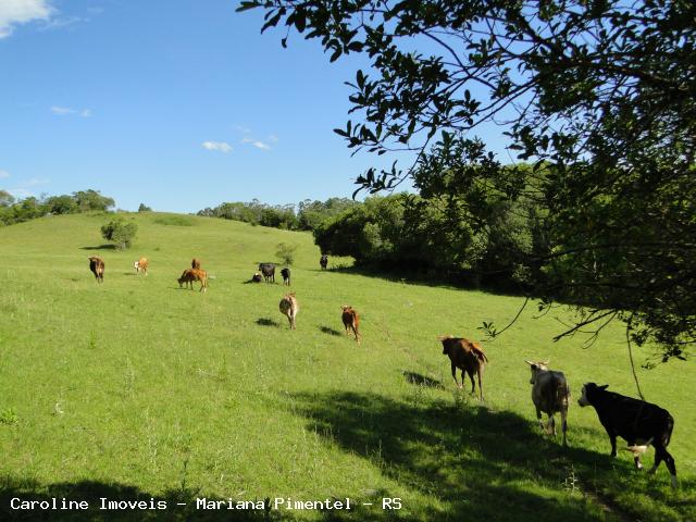 Fazenda à venda com 5 quartos, 625000m² - Foto 1