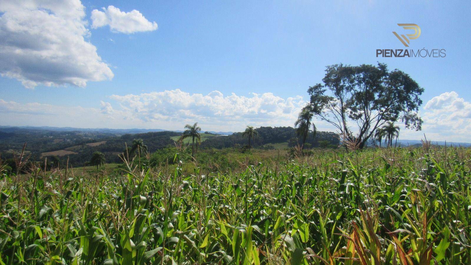 Terreno à venda, 30000M2 - Foto 3