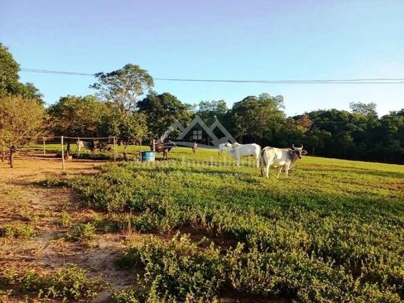 Fazenda à venda com 2 quartos, 47m² - Foto 1