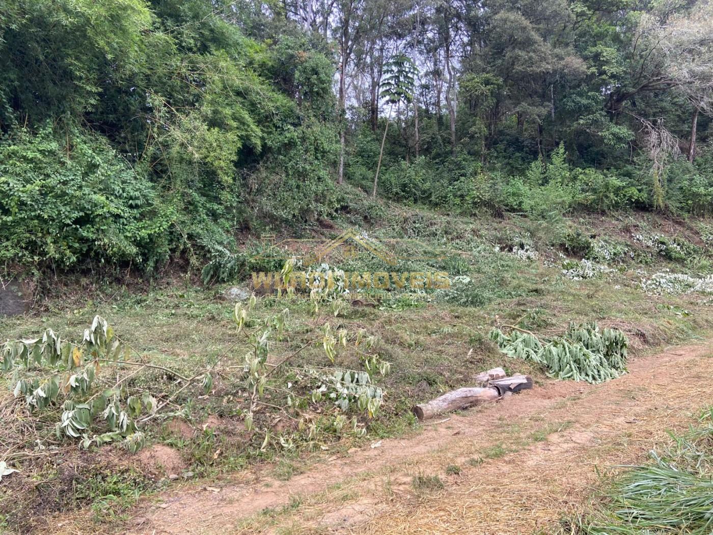 Terreno à venda, 40000m² - Foto 24