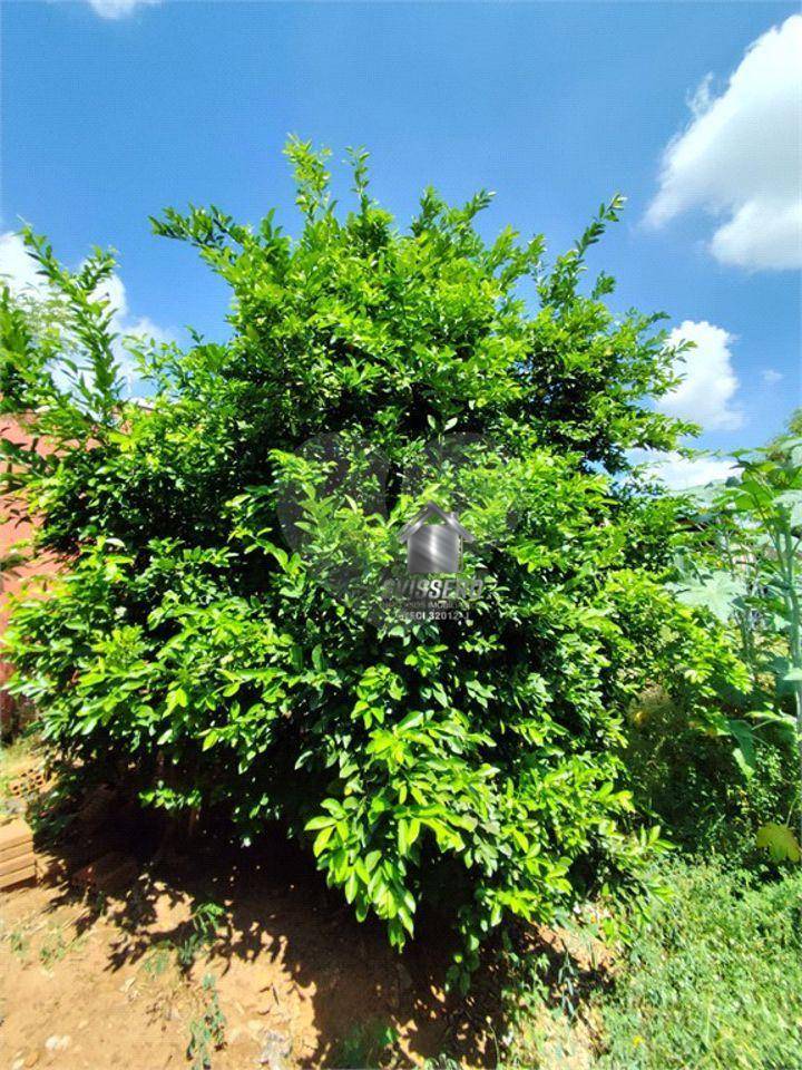 Terreno, 267 m² - Foto 17