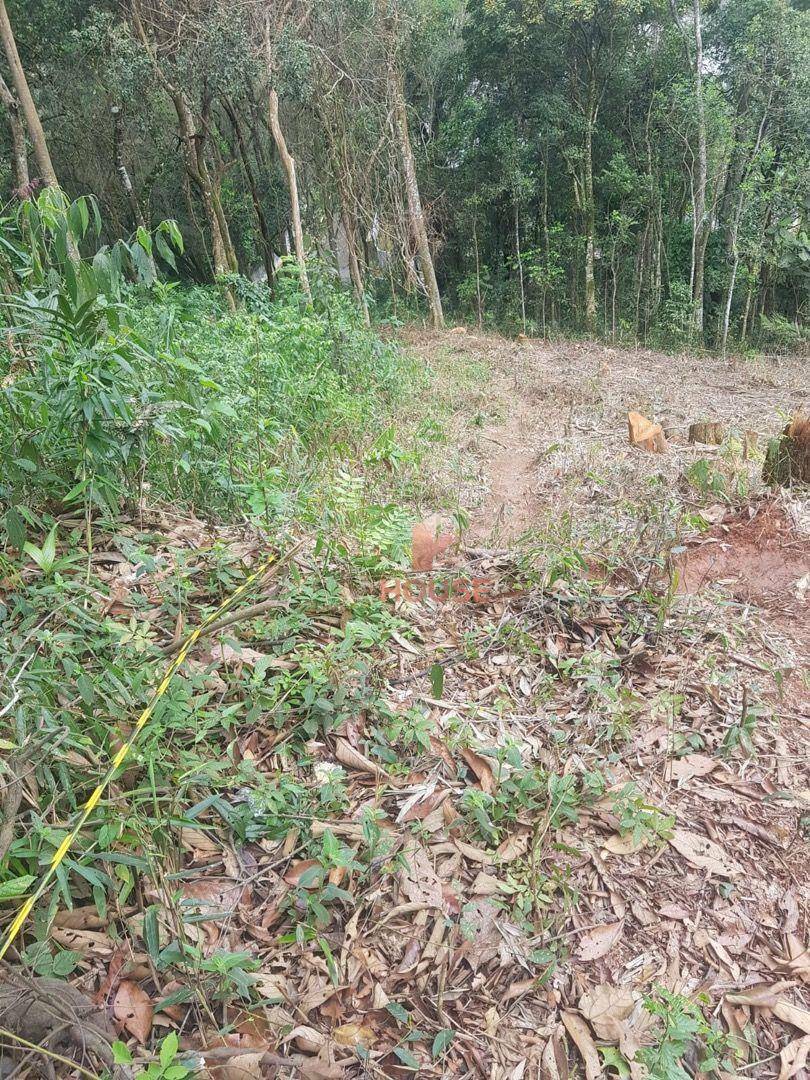 Loteamento e Condomínio à venda, 1659M2 - Foto 4