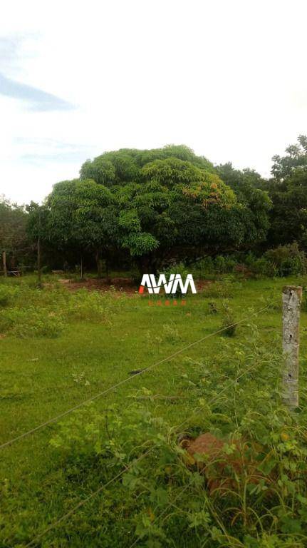 Fazenda, 600 hectares - Foto 9