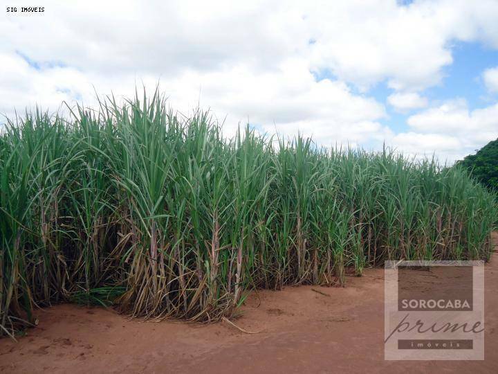 Fazenda à venda, 34170400M2 - Foto 1