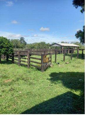 Fazenda à venda com 3 quartos, 7160000M2 - Foto 17