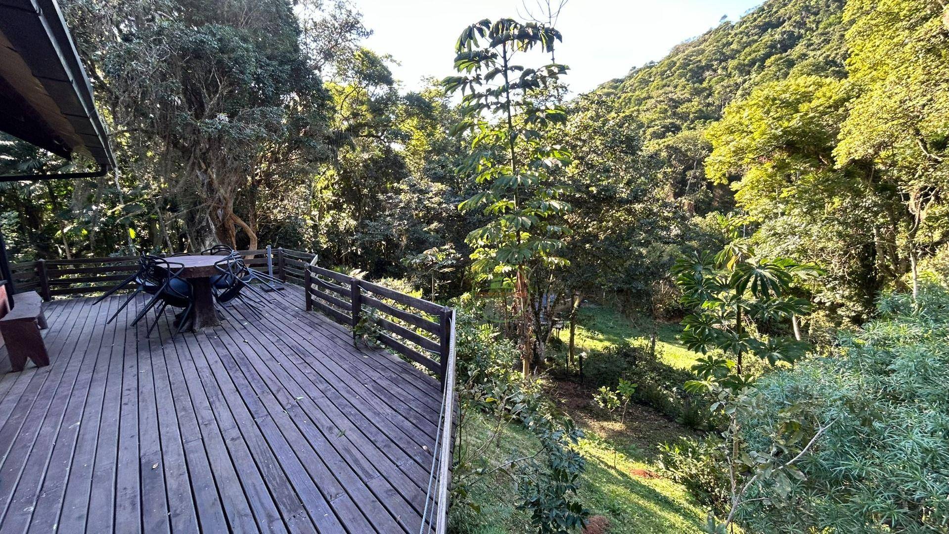 Sítio, 14 hectares - Foto 30