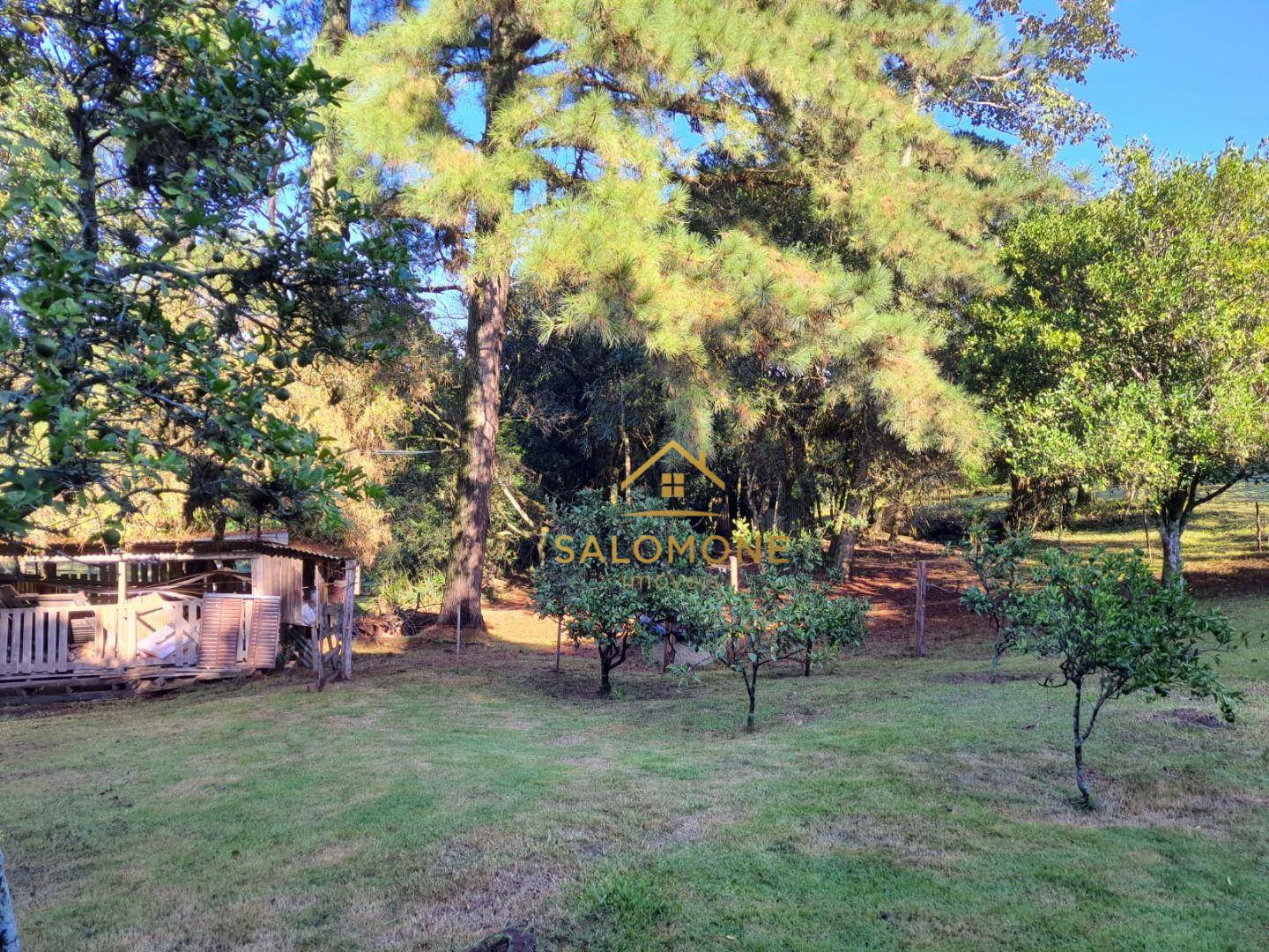 Sítio, 3 quartos, 4000 m² - Foto 4