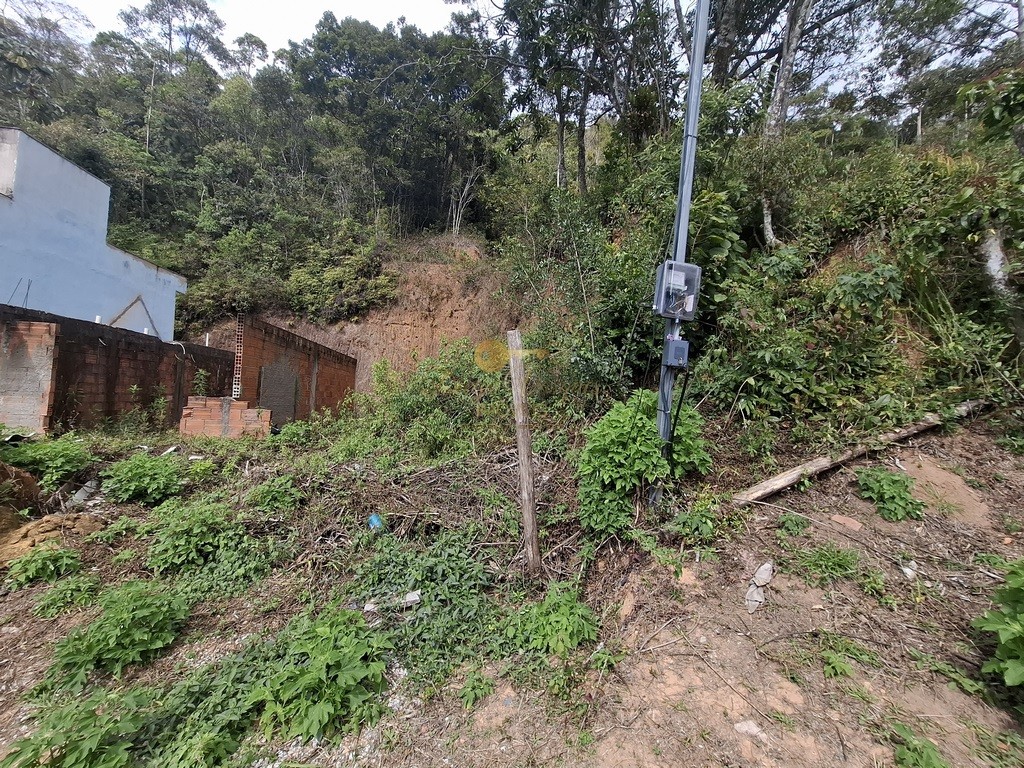 Casa à venda com 4 quartos, 2720m² - Foto 41