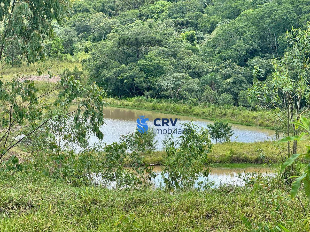 Sítio, 6 hectares - Foto 1