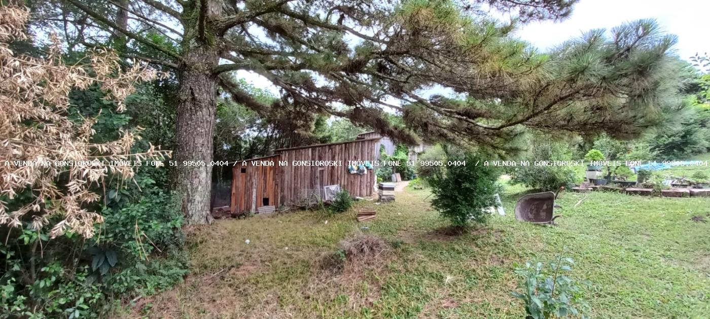 Sítio à venda com 3 quartos, 3m² - Foto 6