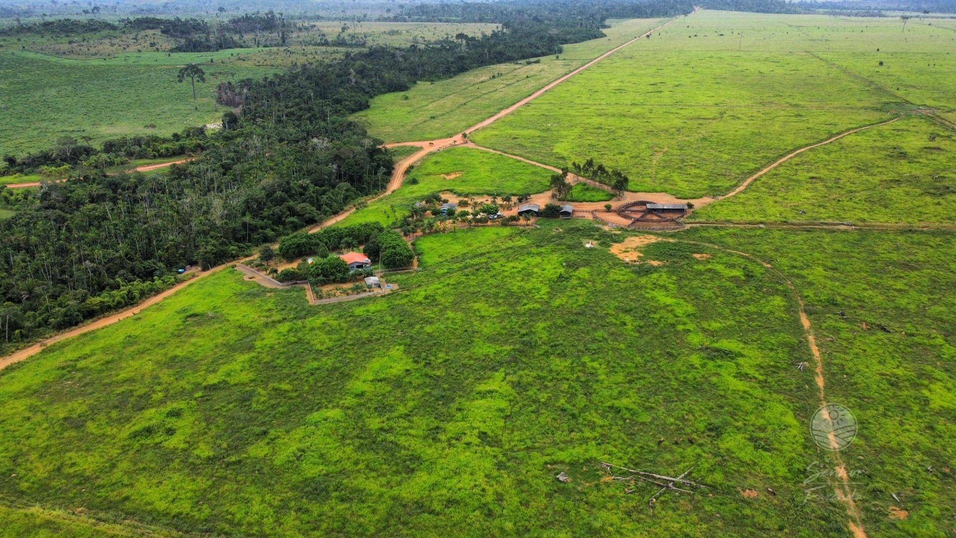 Fazenda à venda, 10660000M2 - Foto 9