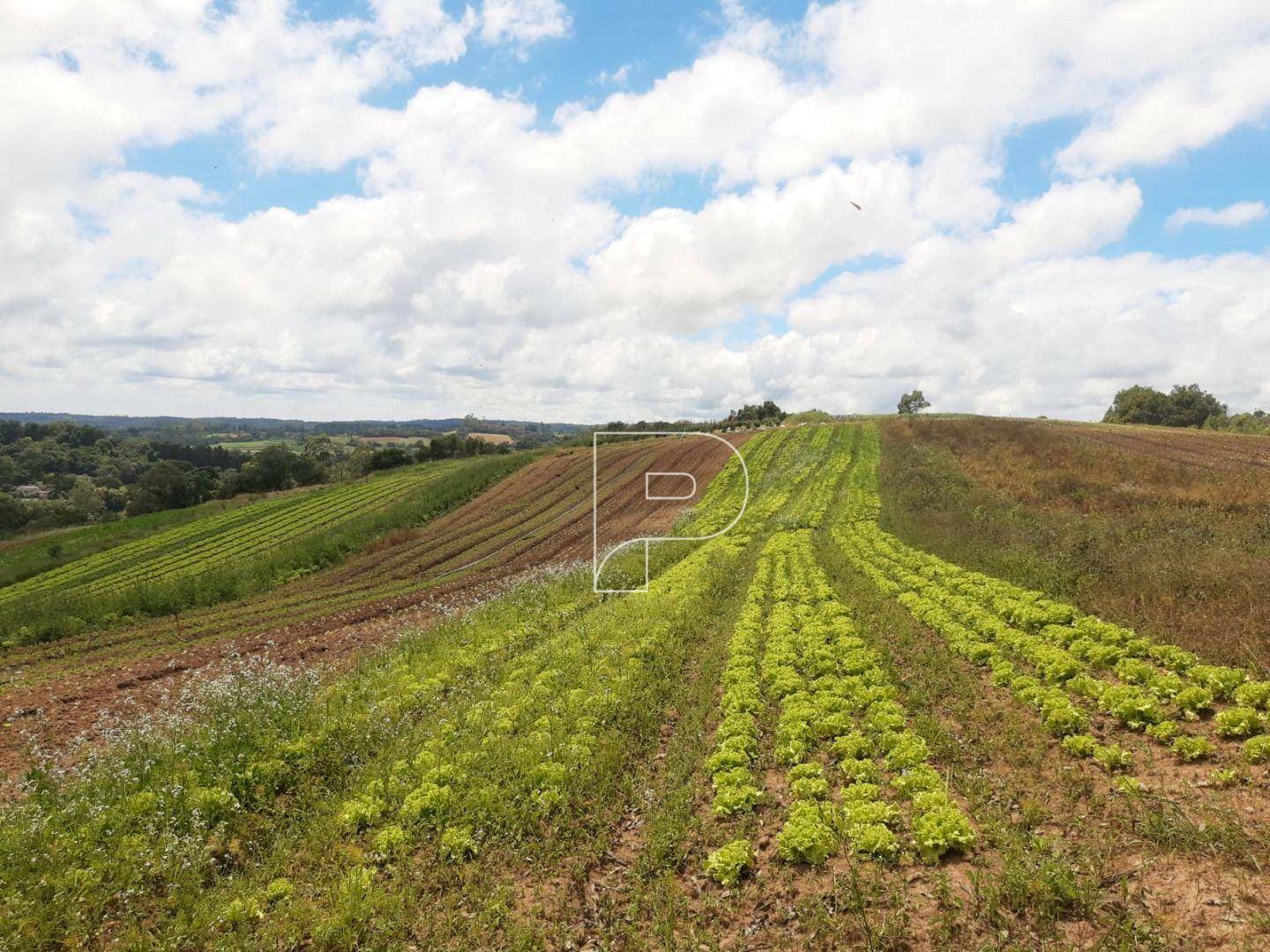 Terreno à venda, 39000M2 - Foto 24