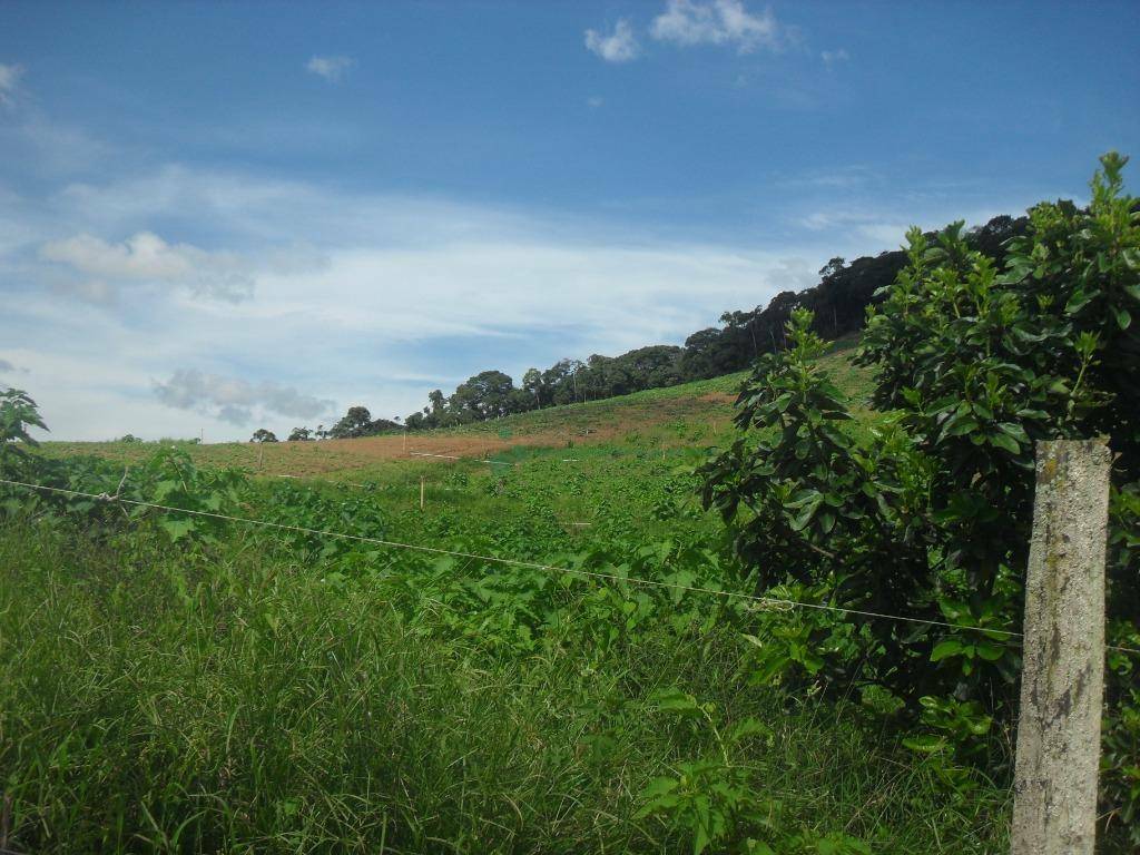 Fazenda à venda com 3 quartos, 120m² - Foto 18