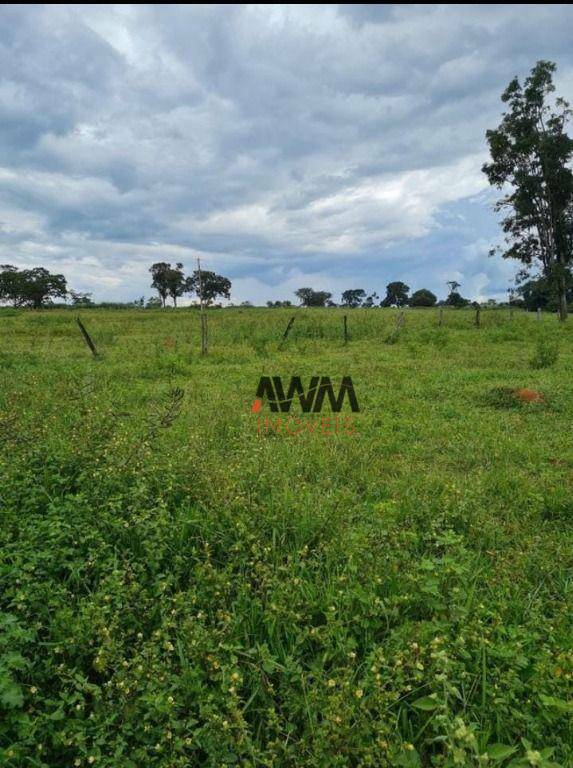 Fazenda à venda, 968000M2 - Foto 7