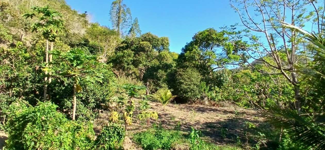 Sítio à venda com 1 quarto, 24800m² - Foto 41