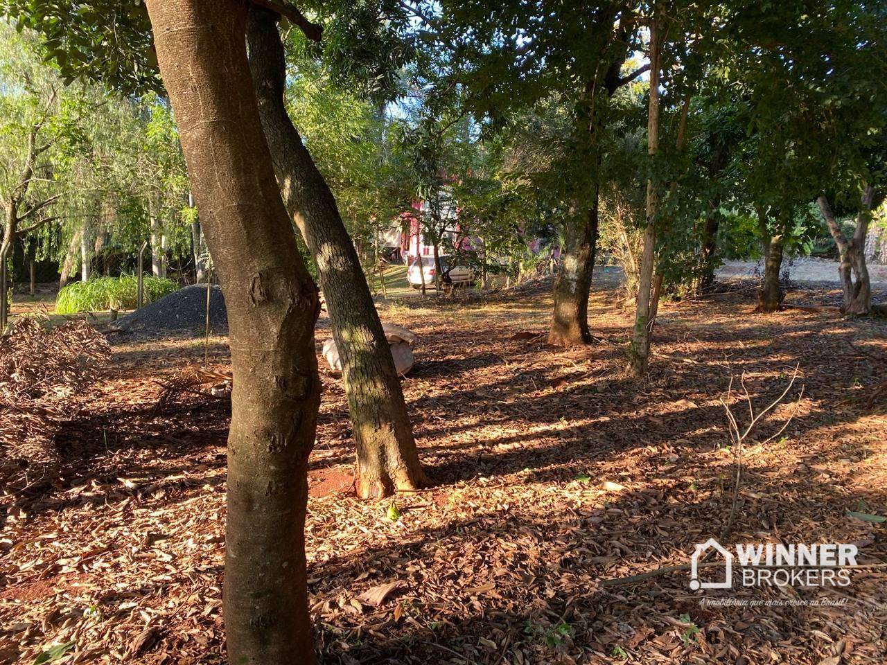 Loteamento e Condomínio, 1192 m² - Foto 3