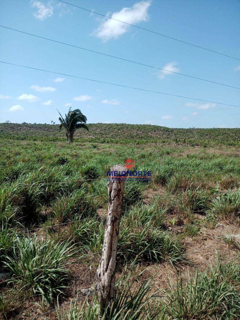 Fazenda à venda com 1 quarto, 2000000M2 - Foto 2