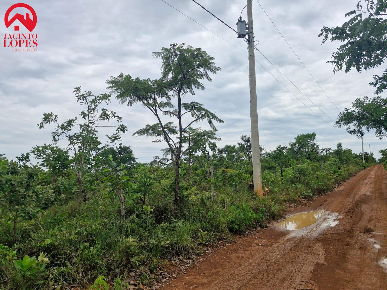 Fazenda à venda, 20000m² - Foto 4