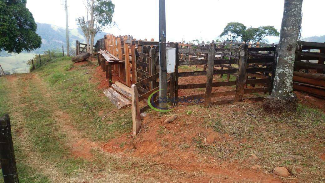 Fazenda à venda com 3 quartos, 2970000M2 - Foto 11