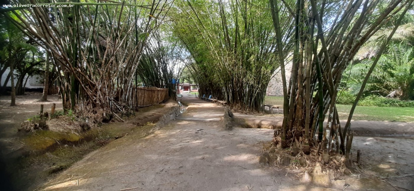 Chácara à venda com 50 quartos, 40000m² - Foto 9