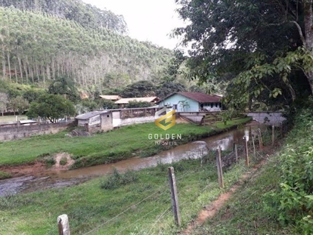 Sítio à venda com 5 quartos, 300m² - Foto 11