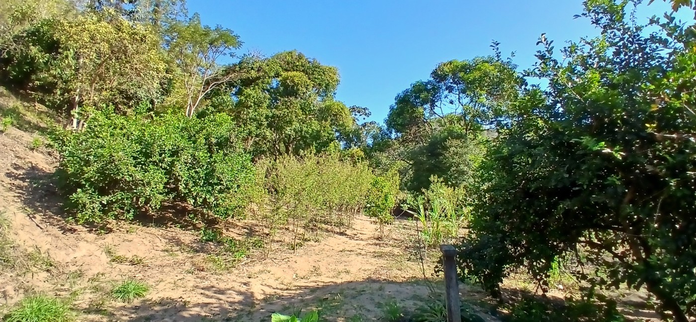 Sítio à venda com 1 quarto, 24800m² - Foto 33
