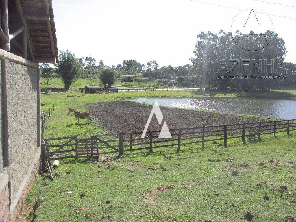 Casa à venda com 3 quartos, 120000M2 - Foto 47