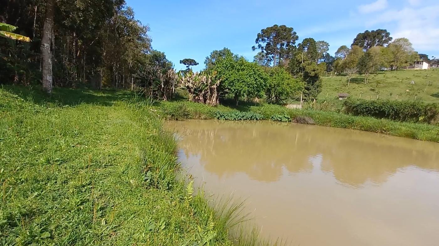 Fazenda à venda, 9075m² - Foto 25