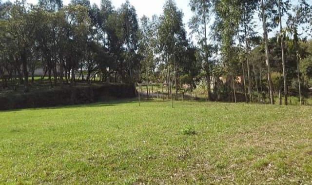 Fazenda-Sítio-Chácara, 8291 m² - Foto 3