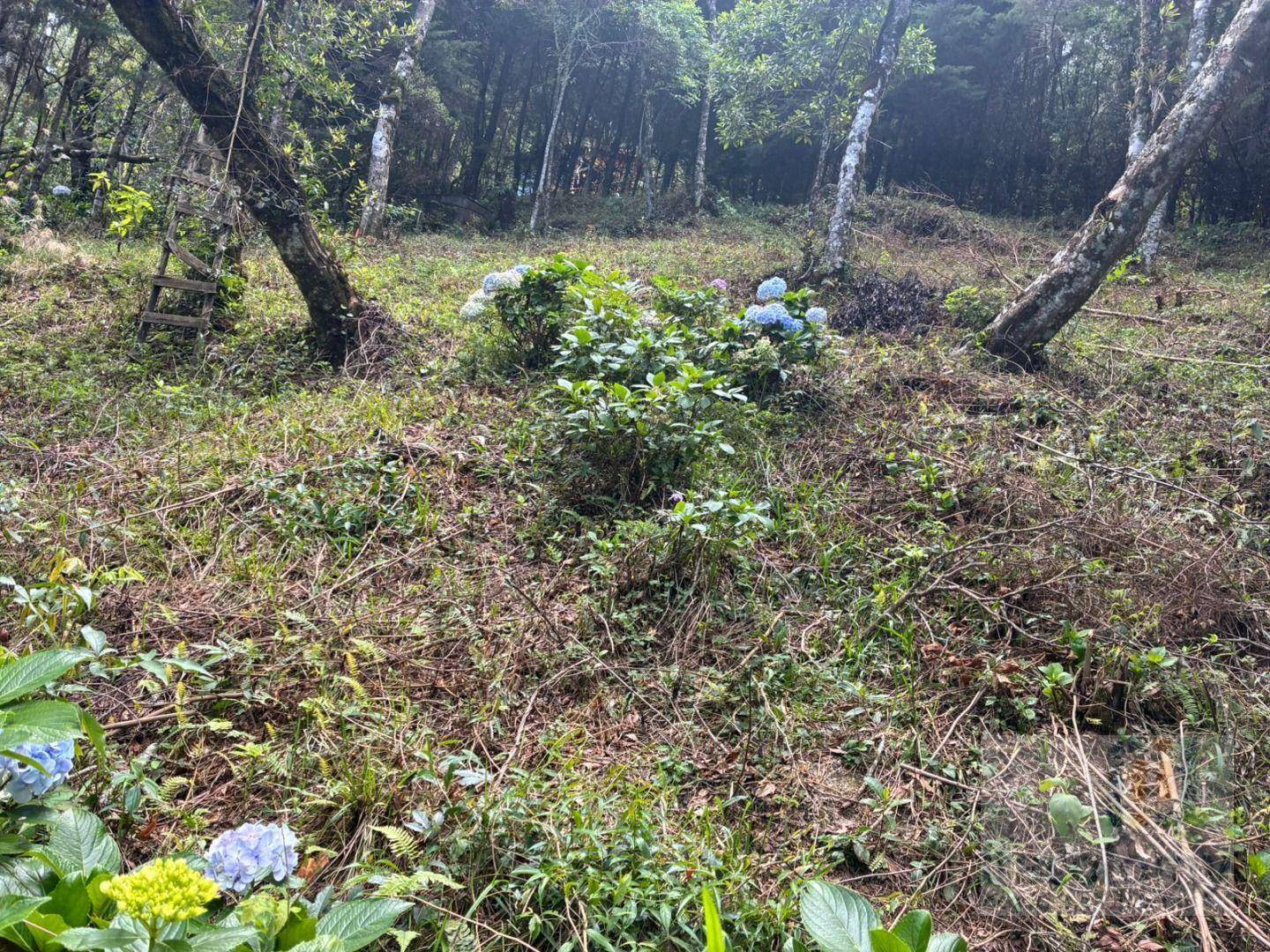 Terreno, 1046 m² - Foto 8