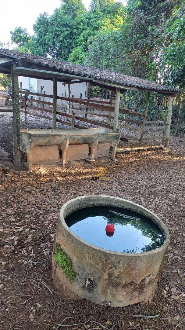 Chácara, 3 quartos, 2 hectares - Foto 3