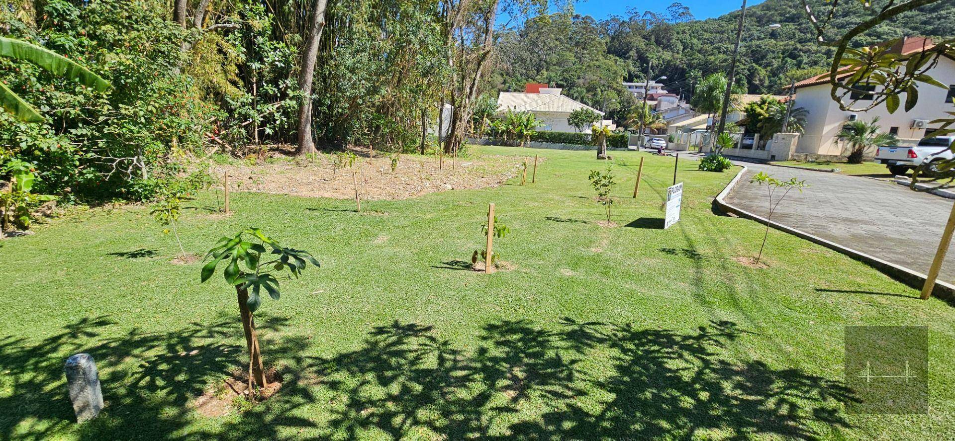 Terreno, 1435 m² - Foto 3