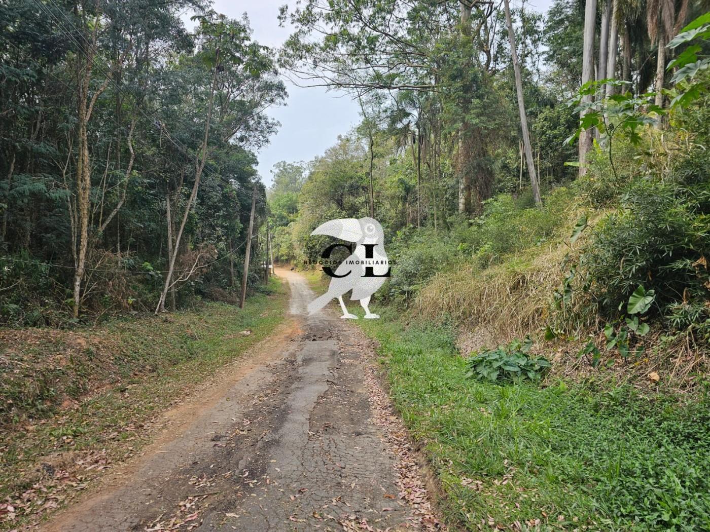 Terreno, 600 m² - Foto 2