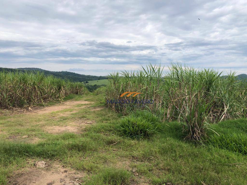 Fazenda à venda, 5808000M2 - Foto 13